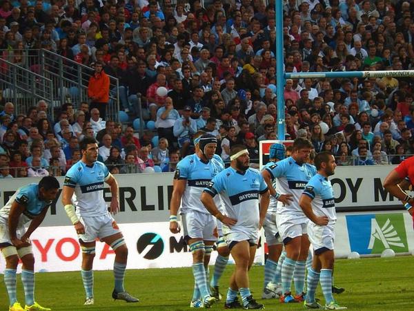 ruggercub's tweet image. Saffer in Frence Top14 #ruggerbeef #rugbybear