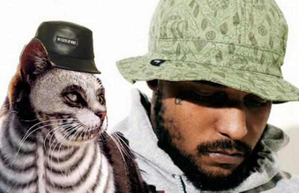 bucket hat for cats
