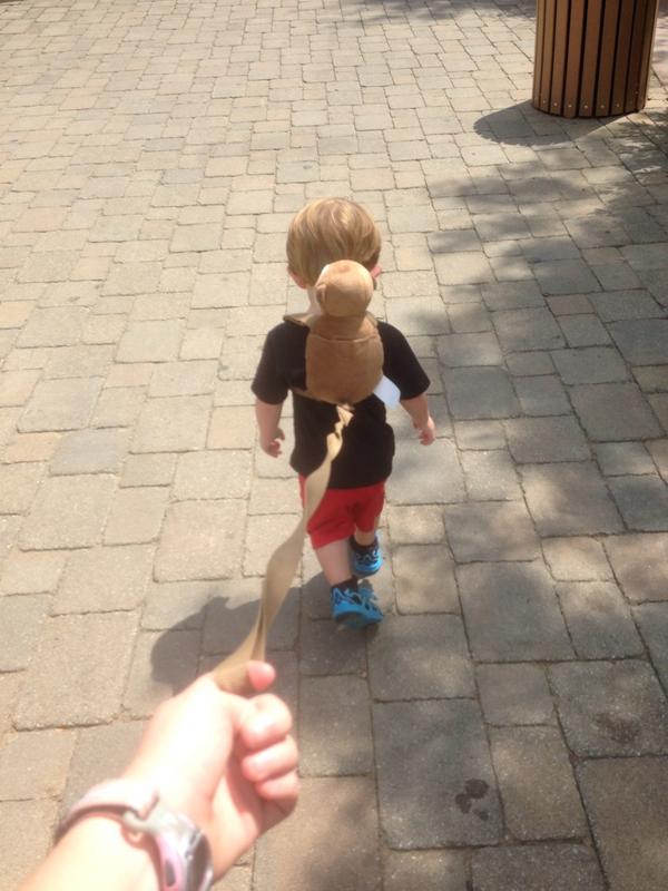 lex_niner's tweet photo. My day 👶🐵 #zoo #babyleash http://t.co/Osg6dPADAd