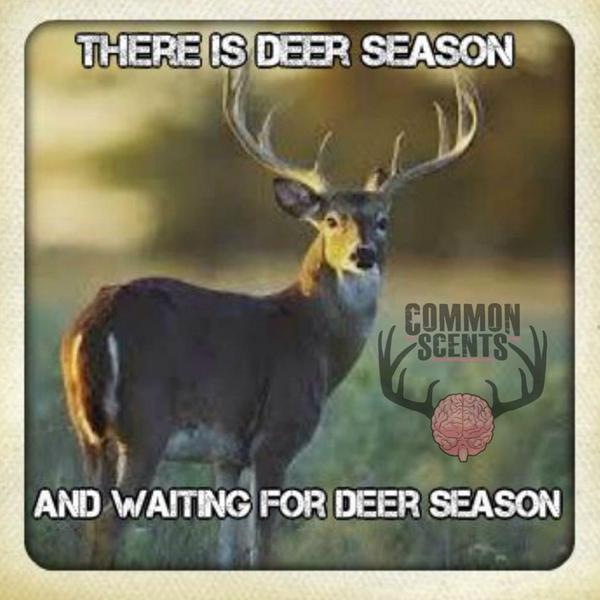 CommScents's tweet photo. Rt if you are ready for deer season. http://t.co/M0VjHoDKjA
