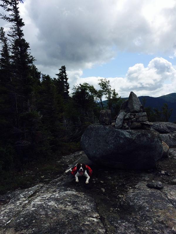 AkselRhodes's tweet photo. Dog tired. #ruffware #adkdog http://t.co/KQSFd30vGI