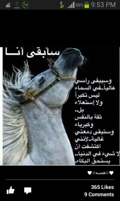HailHasan's tweet photo. http://t.co/aZGhb28G3G