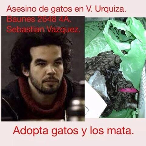 Niñera De Mascotas tweet media