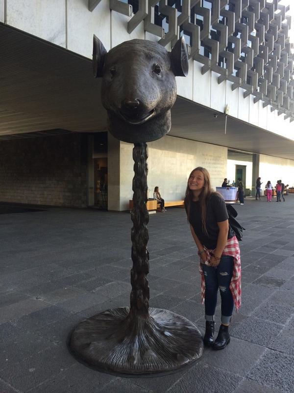 NataliePriede's tweet photo. @cynthia_frid @aiww #MNAH #cabezasdelzodiaco #ratasoy1996 http://t.co/g7f2eR4wOs