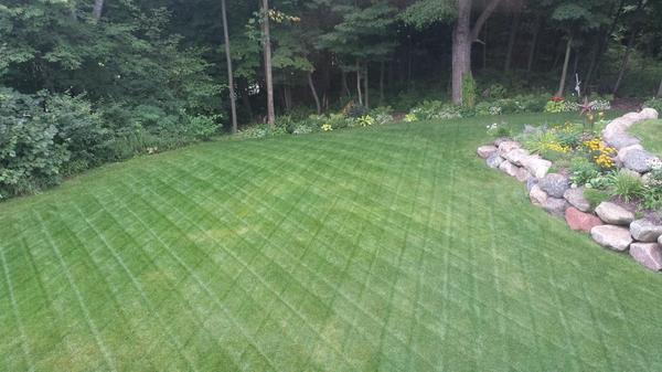 Priorlaker's tweet photo. Game on, who's gonna knock off the reigning champ #perfectbackyard thanks @thetorocompany http://t.co/ticTOYSSLf
