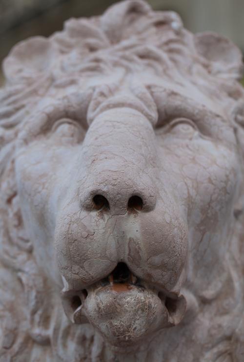 melangery's tweet photo. @BiltmoreEstate @VisitAsheville @Foodtopia @ashevilletravel Picture of the day - Biltmore detail #FBFAsh http://t.co/yR2smW1g5r