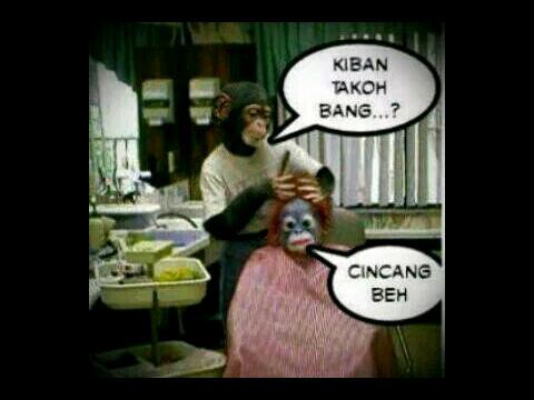 Capok_aceh's tweet photo. Asi mantapp mantongg dekk http://t.co/GzYjeWKAYH