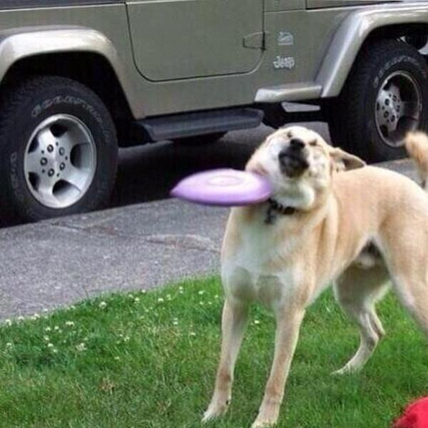 James_Yammouni's tweet photo. Talk shit get hit http://t.co/vZDNoMsg1p