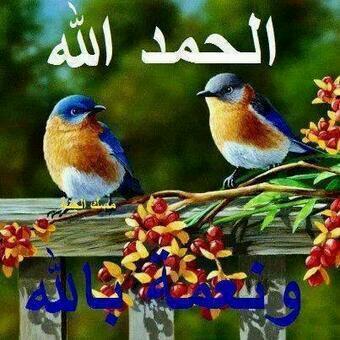 Bg6Je's tweet photo. http://t.co/Y2b50CEyqu