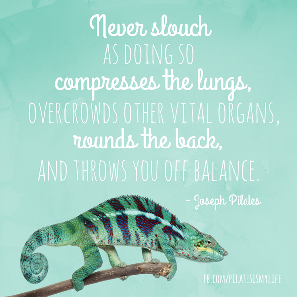 PilatesIsLife's tweet photo. I admire how smart and creative #JosephPilates was. #PilatesQuote #legacy #Pilates http://t.co/jGbpP7Pw2q