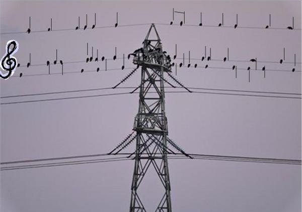 Er zit muziek in de lucht.