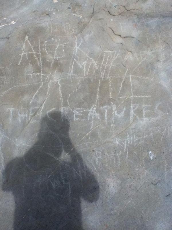 StichJake's tweet image. I took the risk @UberHaxorNova @Kootra @ImmortalHD @DanzNewz