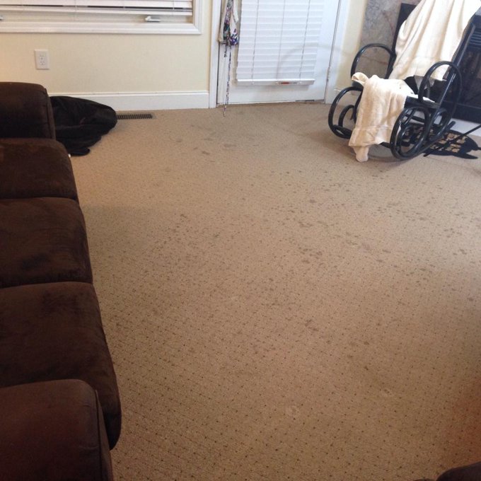 Made a squirt video on that couch - clearly the floor wasn't ready #6footsquirt http://t.co/grt25rhA<a href="/tag/6footsquirt"class="tags"><span>#6footsquirt</span></a>