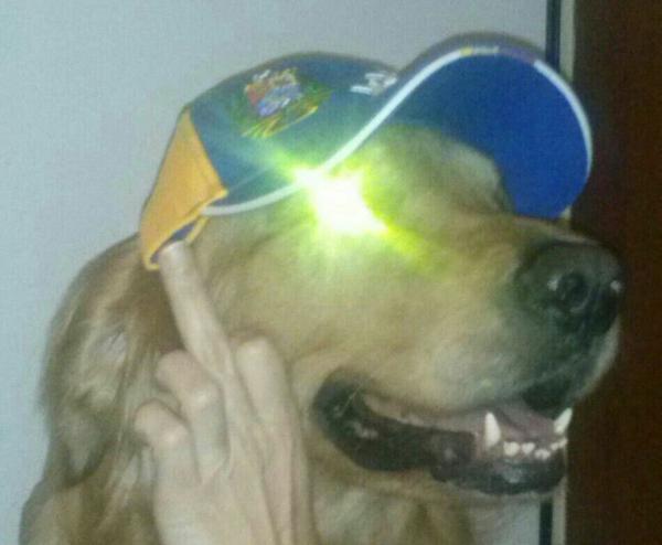 AnonymousVene10's tweet photo. Vía @olga_castelo Para @NicolasMaduro #PintaleUnaPalomaALasCaptahuellas y este es mi #VzlaSoberana  http://t.co/5ZLdMoccbY