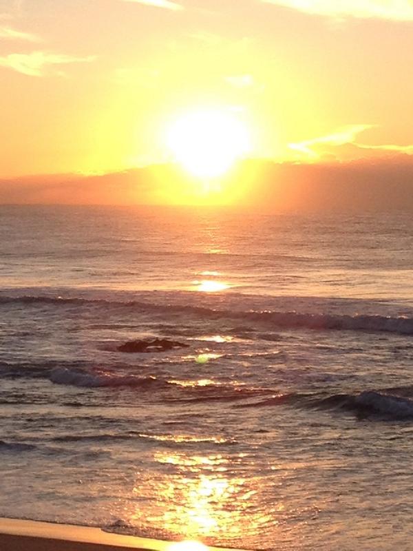 RaydeVries's tweet image. 