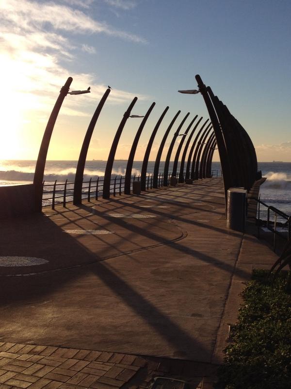 RaydeVries's tweet image. 