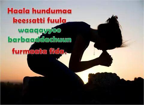 jamayins's tweet photo. "@gamil3539: http://t.co/e6nXlp8EaA" http://t.co/RFBRflMYHy