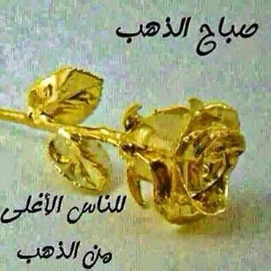 المنسي (@qweraf1) on Twitter photo 