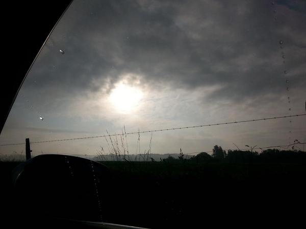 LauraHowald's tweet image. Let's go to the Longhorn-Ranch♡ aber heute geht's ab zu Oliver Stein. #reining #horses #earlymorning #happy