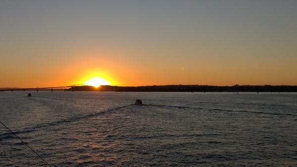 On the ferry, sun setting on Auckland Harbour bridge