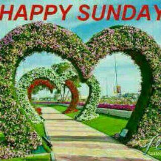 DannyEmms1's tweet image. 