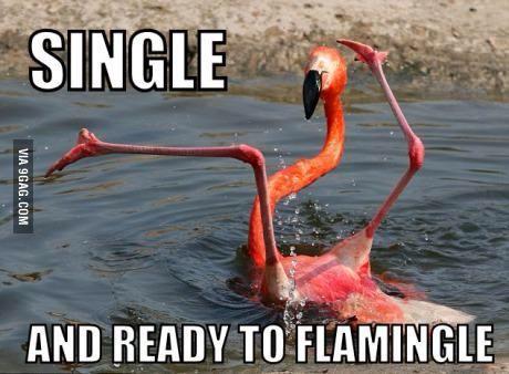 Going out for #sundaysesh !! Yeah baby!!!! http://t.co/hKHBqGSfF3<a href="/tag/sundaysesh"class="tags">#sundaysesh</a>