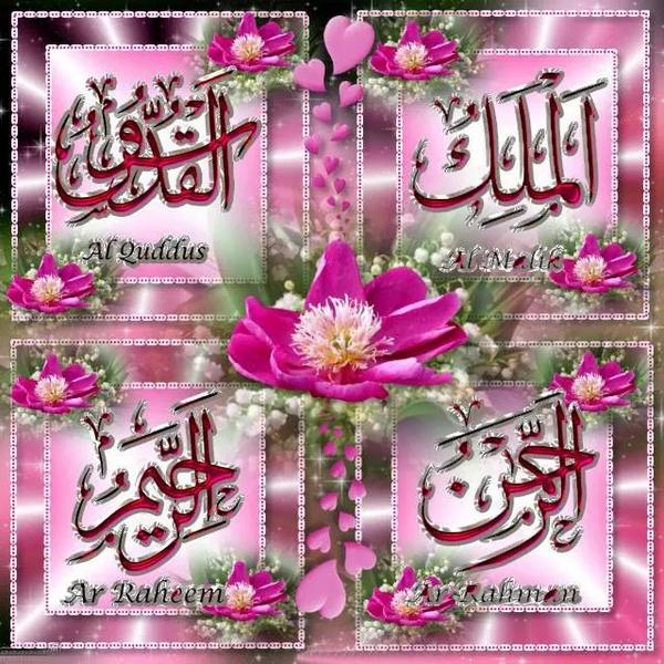 haiariya's tweet photo. http://t.co/ZksowyNloe