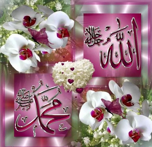 haiariya's tweet photo. http://t.co/dKyFDdWbMq