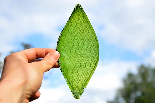 GeeksSaveWorld's tweet image. synthetic biological leaf absorbs water and carbon dioxide to produce oxygen just like a plant dezeen.com/2014/07/25/mov…