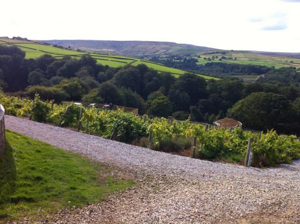 Fab bike ride, followed by a wonderful scone at <a href="/Holmfirthwines/">Holmfirth Vineyard</a> #Holmfirth  #huddersfield #ILoveHD