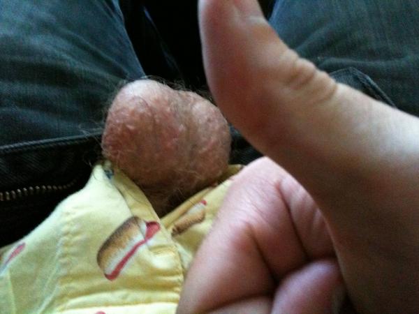 Hairy Mens Balls 13