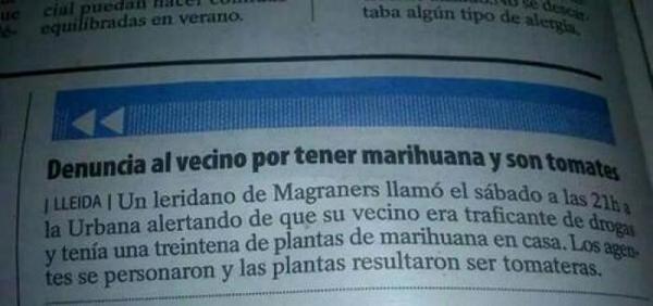 Cogollofumado tweet media