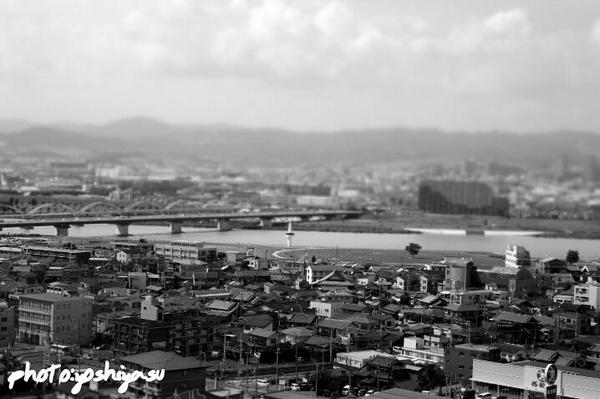よしやす☞写真 tweet media