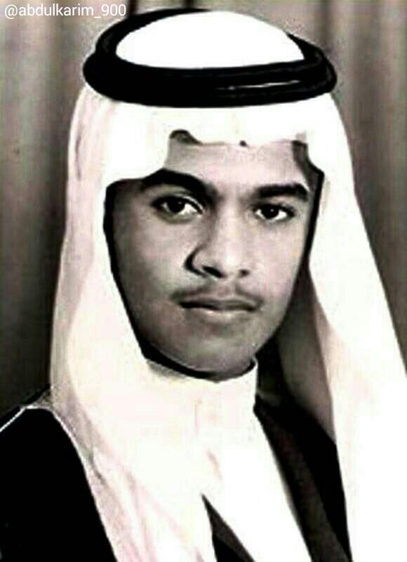 بندر بن سلطان أعرف الأسد قبل أن يصبح شيئا وحمد بن جاسم خبير نصف الحقيقة Rt Arabic