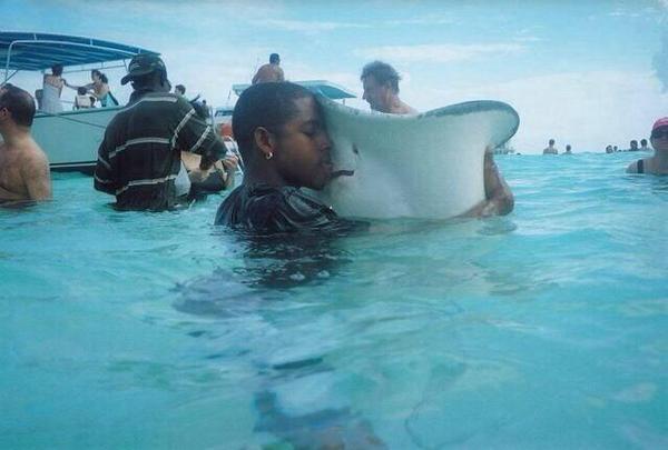 ThatsAnimals's tweet photo. When u lose ur stingray but then u find it again http://t.co/3J2og29q4b