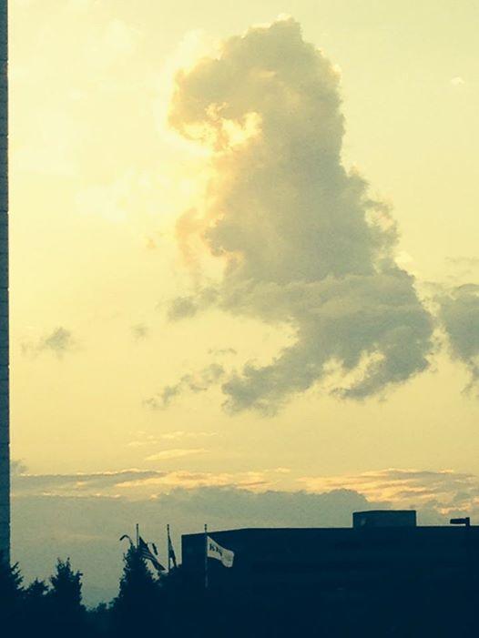 KyleClark's tweet photo. BREAKING: 9NEWS viewer Barbara Brown spotted a Bronco-shaped cloud. #DENBestFans http://t.co/Xbv5kRupUF