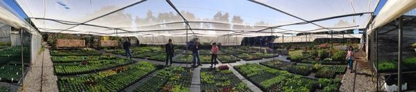 FleurieuLiving's tweet photo. Our Spring issue features a roundup of the local nurseries. #hillsideherbs http://t.co/jaKgrzchO7