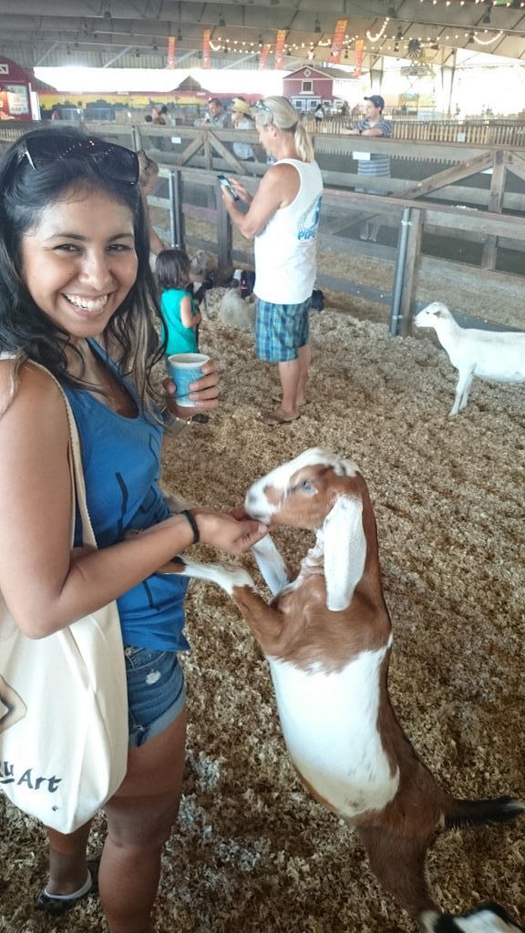 ChefKyleSchutte's tweet image. Gotta love feeding #animals with @lannisaur @lacountyfair #SillyGoat