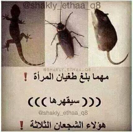 Karrar Almustansirya (@karrarm20) on Twitter photo 