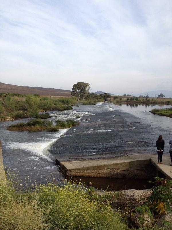 Brandon van der Walt tweet media