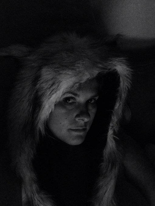 Noir wolfie. http://t.co/WBoGTmQ2pW<a href="/tag/rt"class="tags"><span>#rt</span></a>