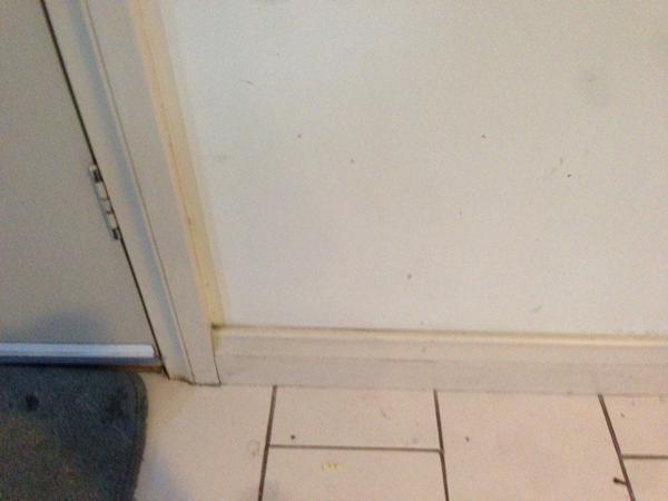 fakesevitz tweet media