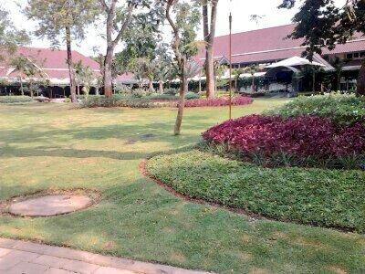 nissaargarini's tweet photo. Kalo tamannya kayak gini, namanya ganti rumah sehat aja http://t.co/kY7aDeKFZL