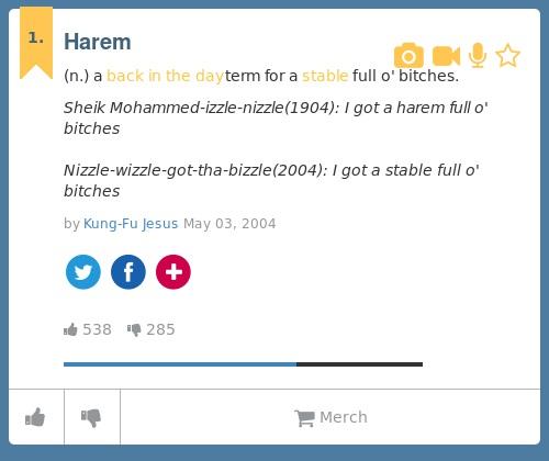 Urban Dictionary on X: @janaaajpg Harem: (n.) a back in the day term for a  stable full o' bitches.   / X