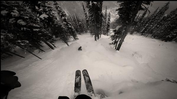 armadaskis's tweet photo. Follow the leader http://t.co/JKYyEvL1WL