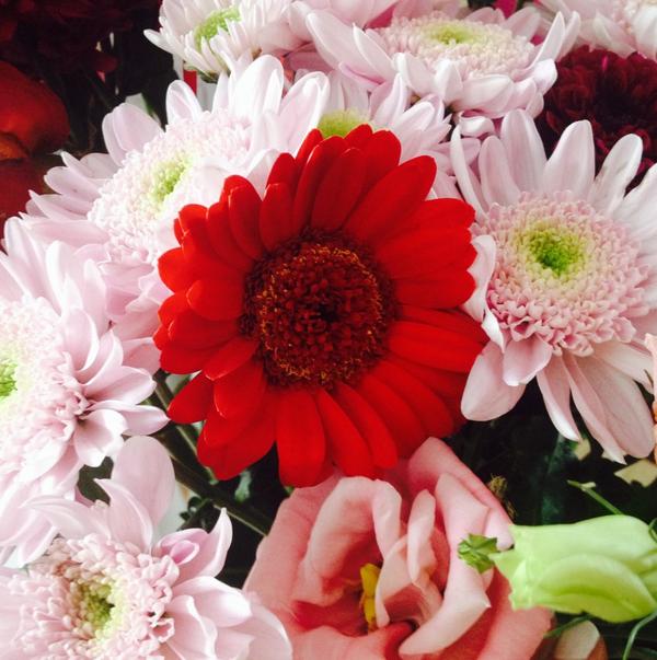 Love an unexpected bunch of flowers 😘🌹 <a href="/joneast21/">Jon</a> your a babe! #flowers #pretty xxx