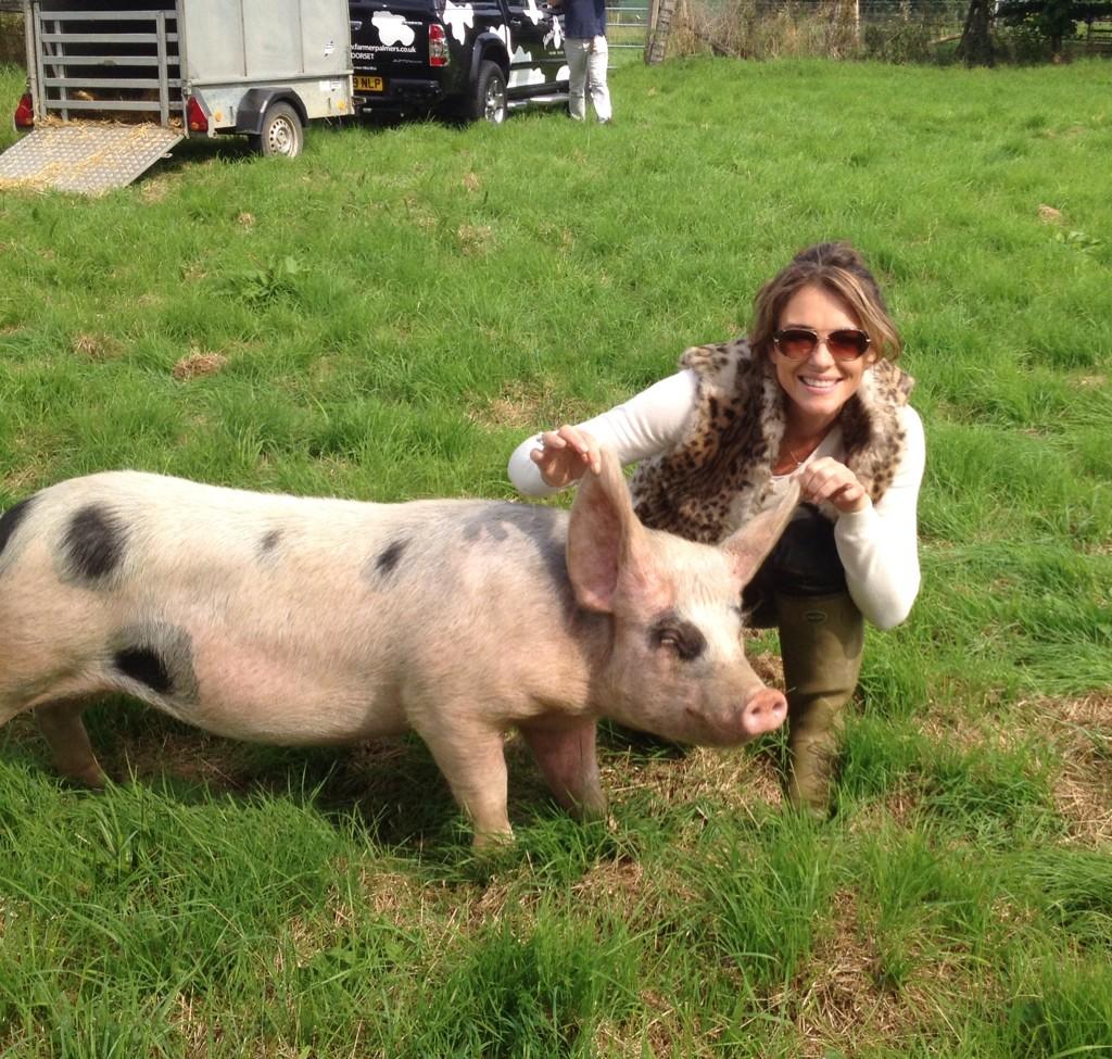 Embedded image permalink