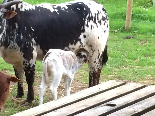 GreenAcresAnimalPark tweet media