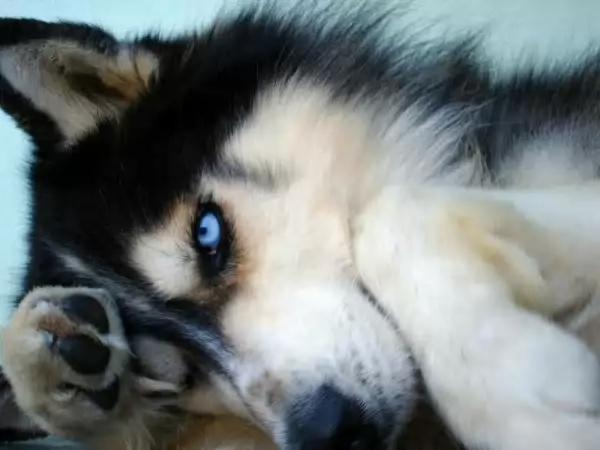 Alena000789's tweet photo. @spirit_luna どうもありがとうございました http://t.co/UcpHv9gAri
