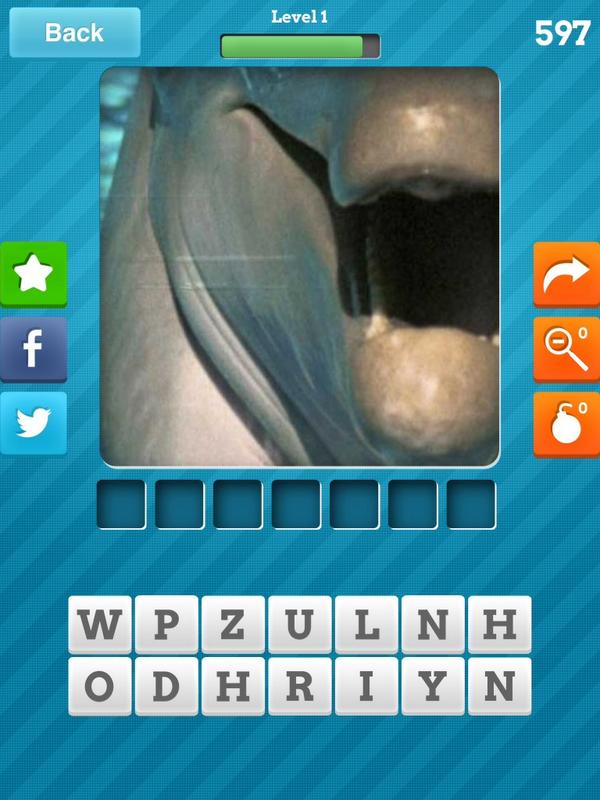 CWetheril's tweet image. Can anyone guess what this close up is of? #CloseUpPics for iOS: bit.ly/187QUsc